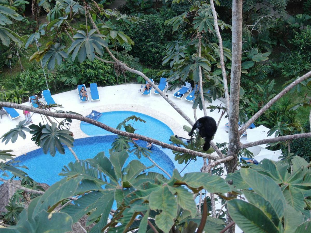 Cariblue Beach And Jungle Resort Puerto Viejo de Talamanca Exterior foto